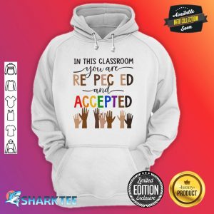 In This Classroom You Are Respected And Accepted Hoodie