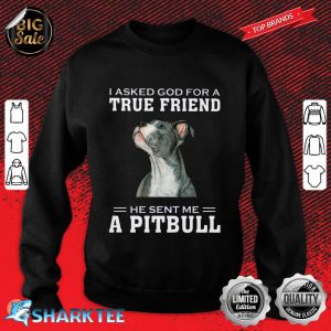 I Asked God For A True Friend He Sent Me A Pitbull Sweatshirt