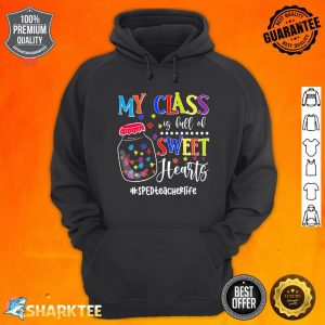 My Class Is Full Of Sweethearts SPED Teacher Autism Puzzle Premium Hoodie