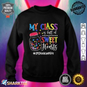My Class Is Full Of Sweethearts SPED Teacher Autism Puzzle Premium Sweatshirt