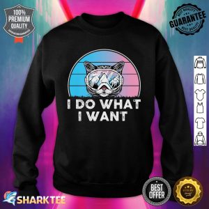 Great Cat And Kitten Lover Outfit Cats Owner Premium Sweatshirt