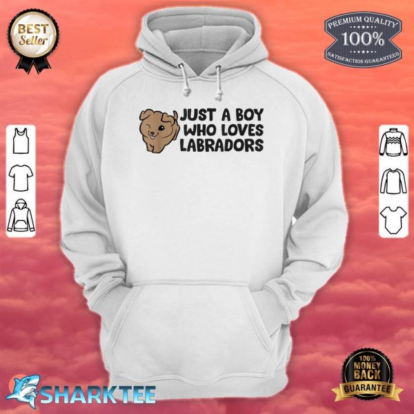 Labrador Retriever Just a Boy Who Loves Labradors Hoodie