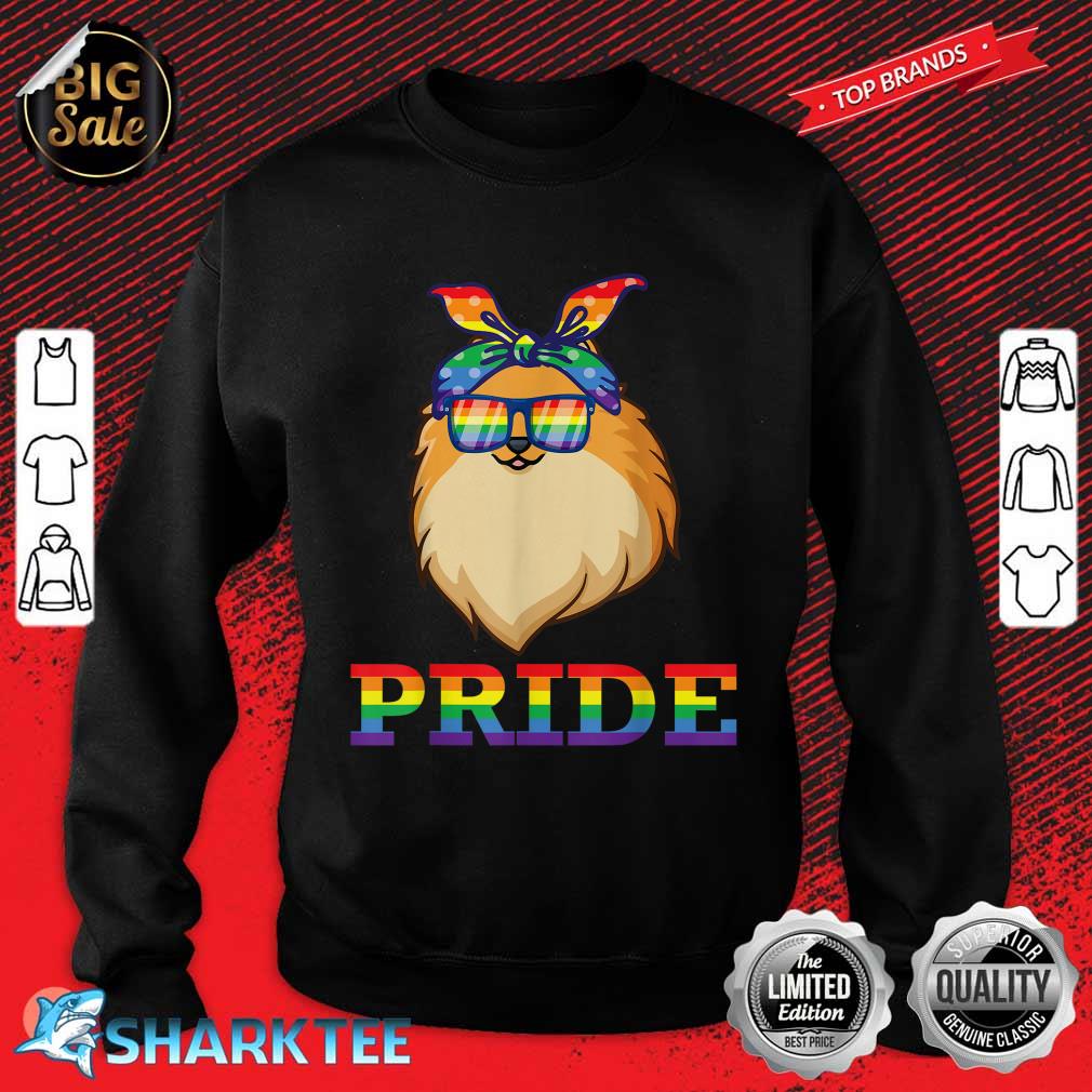 Pomeranian Dog Happy LGBT Month Awareness Support Love Pride Sweatshirt 