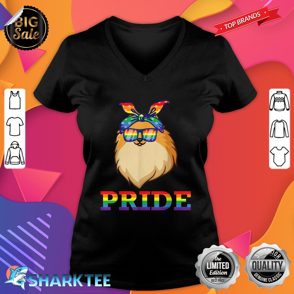 Pomeranian Dog Happy LGBT Month Awareness Support Love Pride v-neck