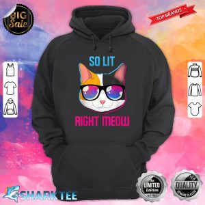 So Lit Right Meow Techno Music Party Cat Hoodie