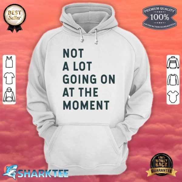 Brand Artist Unknown Not A Lot Going On At The Moment Hoodie