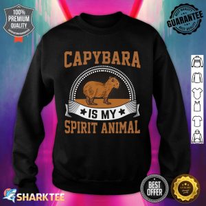 Capybara Is My Spirit Animal Funny Rodent Capybara Lover Premium sweatshirt