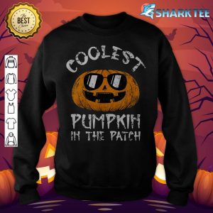 Kids Coolest Pumpkin In The Patch Halloween sweatshirt