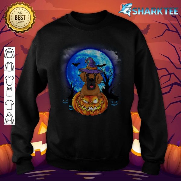Great Dane Witch Hat Pumpkin Scary Halloween Dog Lovers sweatshirt