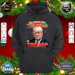 Trump I Want Trump this Christmas hoodie