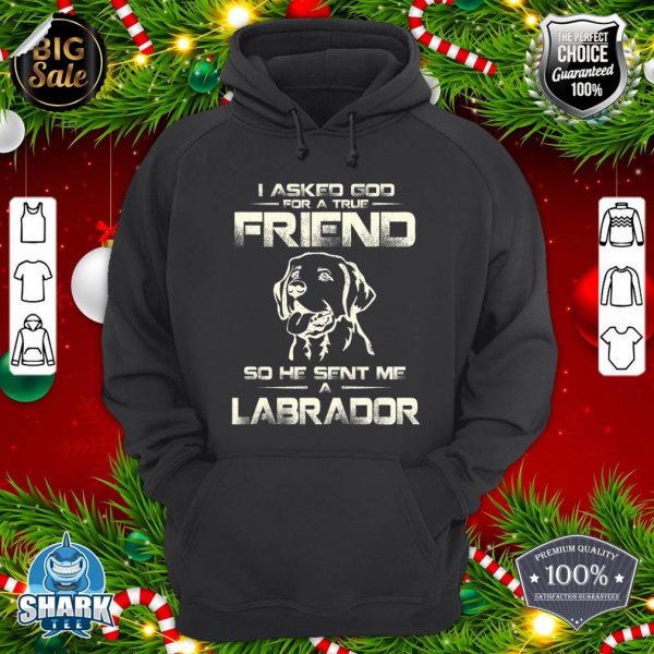 I Asked God For A True Friend So He Sent Me A Labrador hoodie