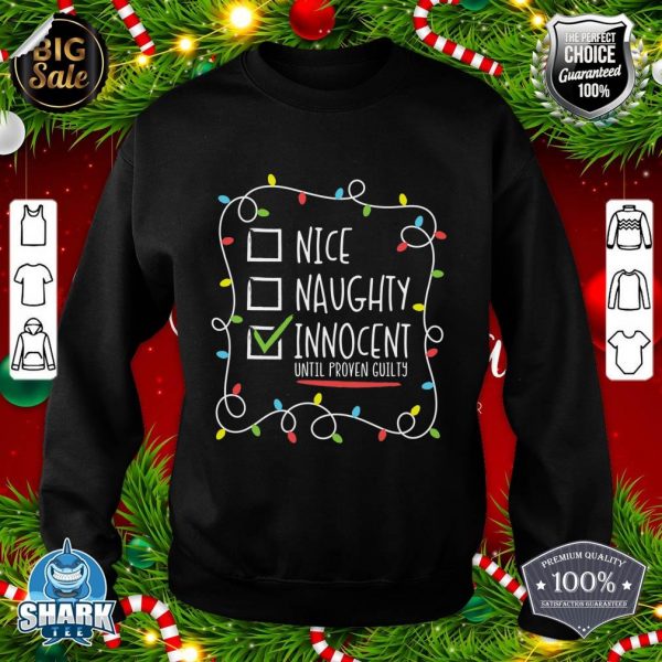 Funny Christmas Christmas Lover Tee, Naughty List sweatshirt