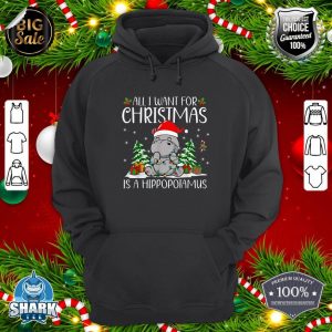 All I Want for Christmas is a Hippopotamus Funny Xmas Hippo hoodie
