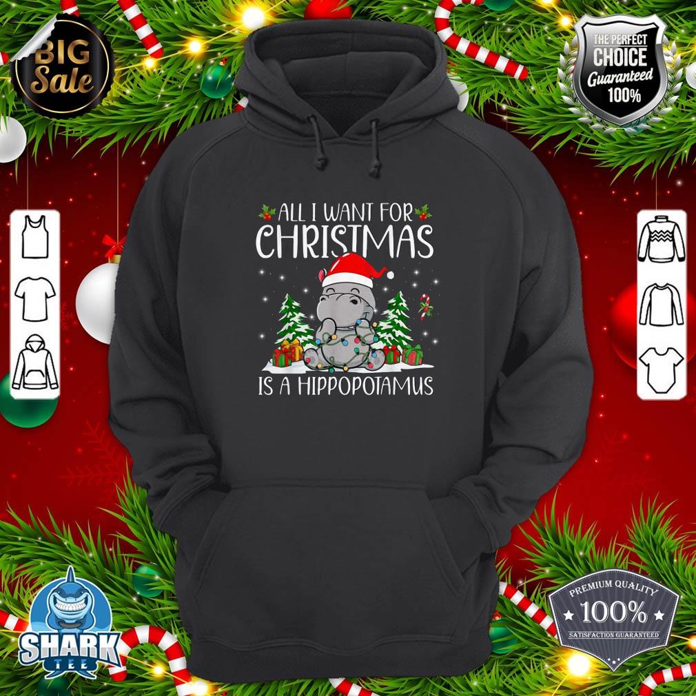 All I Want for Christmas is a Hippopotamus Funny Xmas Hippo hoodie