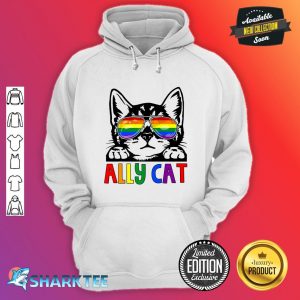 Ally Cat LGBT Gay Rainbow hoodie