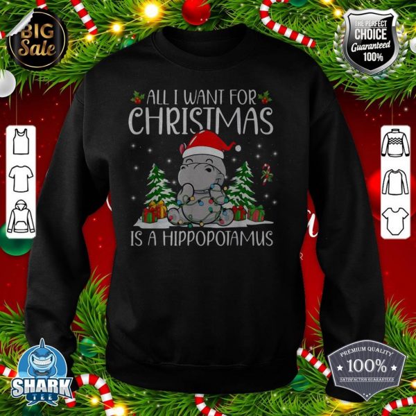 All I Want for Christmas is a Hippopotamus Funny Xmas Hippo sweatshirt