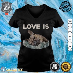 Cute Love Is Frenchie Great French Bully Owners Gift Idea v-neck