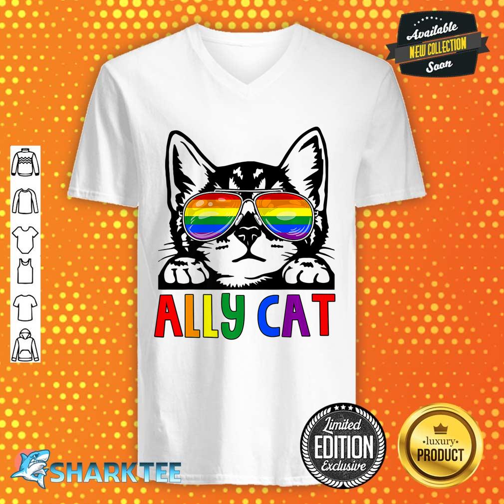 Ally Cat LGBT Gay Rainbow v-neck