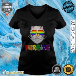 Funny Cat Gay Pride LGBT Rainbow Sunglasses v-neck